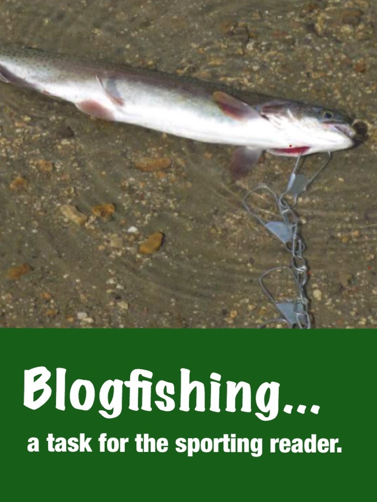 Blogfishing