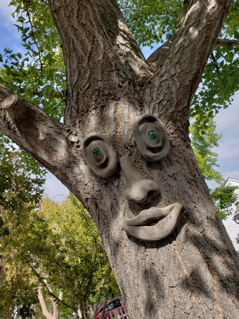 20180929_100124-That-Sacto-Tree-by-Steph-Abbott